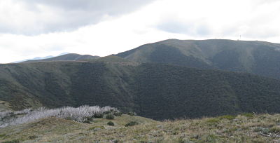 baldy-hotham-2010_opt