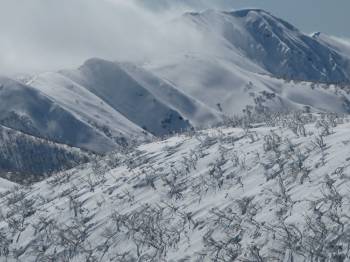 Feathertop 2010
