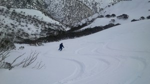 In the gully below Eagle Ridge.