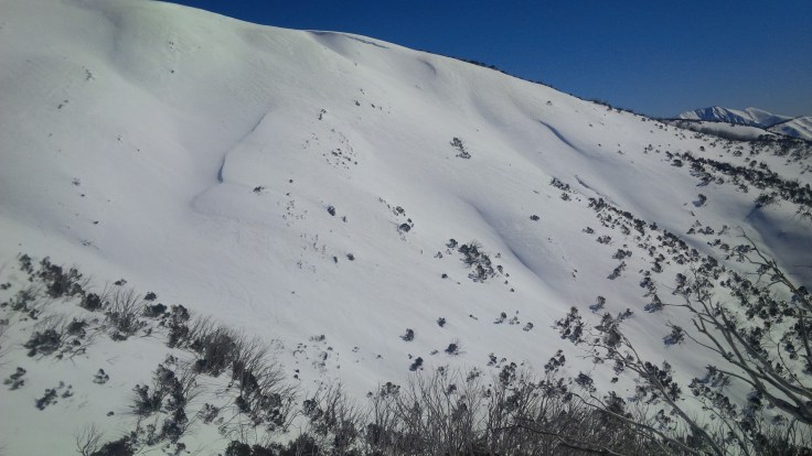 The eastern slopes of Mt Loch
