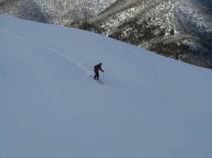 on the razorback 2010