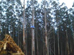 971441_687996031230317_409246317_n