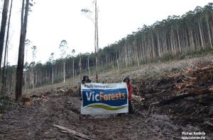 Image: Michael Nardella