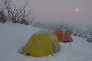 the winter that was. Mt Loch, VIC