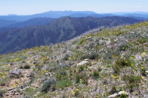 The Gunns from The Twins (Buffalo plateau in background)