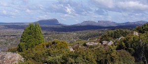 Mt Jerusalem & other peaks in the Walls coming into view from near Turrana Heights
