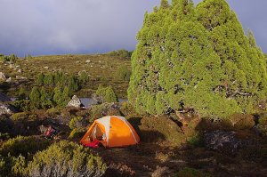 camp at Long Tarns