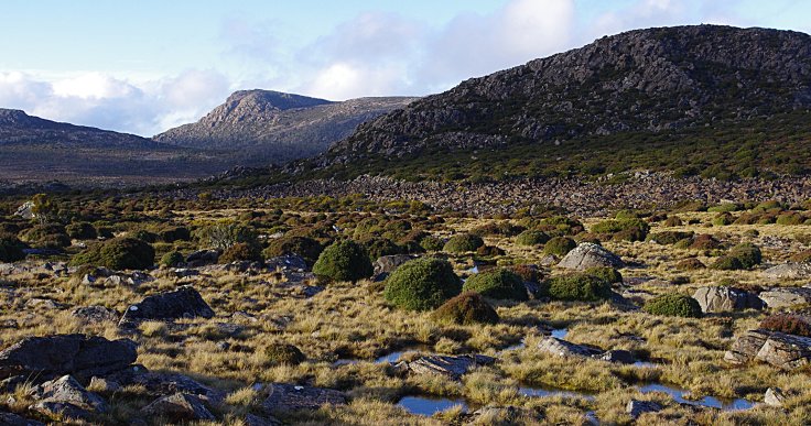 superb country. In the saddle below Forty Lake Peaks, looking towards Mt Ironstone