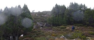 pine forests, glacial lakes, distant mountains