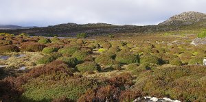 in the saddle below 40 Lakes Peak
