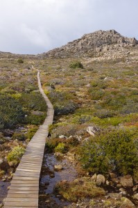 Mt Field national park, TAS