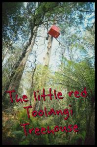 969385_10151799133659001_829810885_n