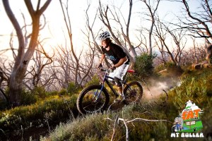 Image: Alpine Gravity