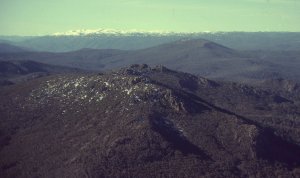 The Cobberas (in foreground), The Pilot, and the Main Range of the Snowy Mountains in background. http://www.panoramio.com/photo/29813127