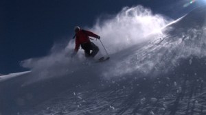 Image: Winter Dreaming/ Stephen Curtain