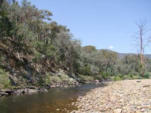 Wonnangatta River