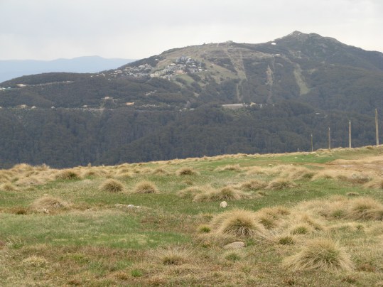 Mt Buller is already over developed. Is the road part of a plan to see similar development on Mt Stirling?