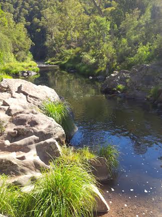 Tunnel bend, Howqua River