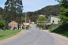 Woods_Point_Bridge_Street_005