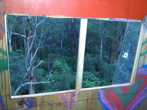 a view from the treehouse