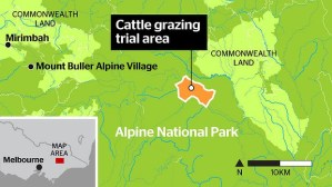 Image from The Age. Graphic: Jamie Brown