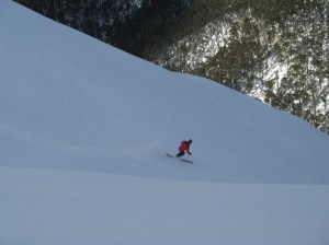 on The Razorback, VIC