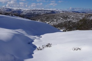 some good conditions from last year. Early July 2013, Mt Loch, VIC