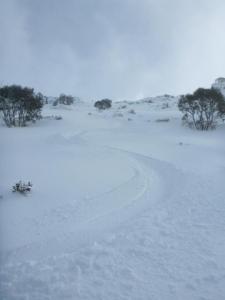 conditions at Mt Wheatley, 25/6/14