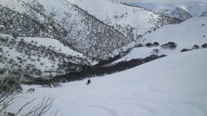 One of the areas earmarked for 'investigation' for expansion of the resort: Eagle Ridge, with the Pink Hamberg Spur in the background.