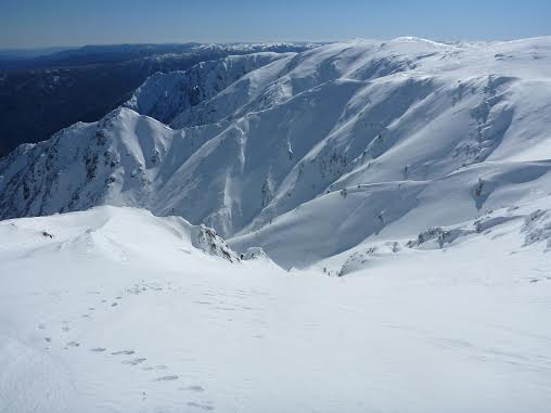 Looking into the start of line