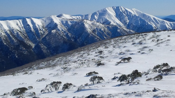 Feathertop, in all its glory