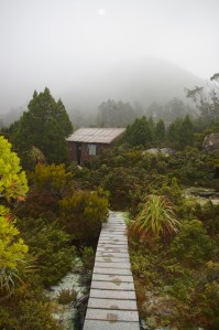 Newdgate hut, TAS