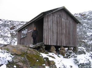 Tarn Shelf, Mt Field