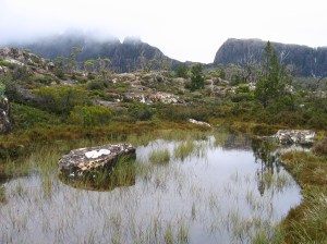 The Pool of Memories