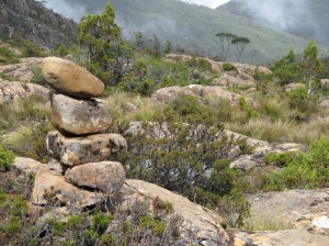 Track marker, The Labyrinth
