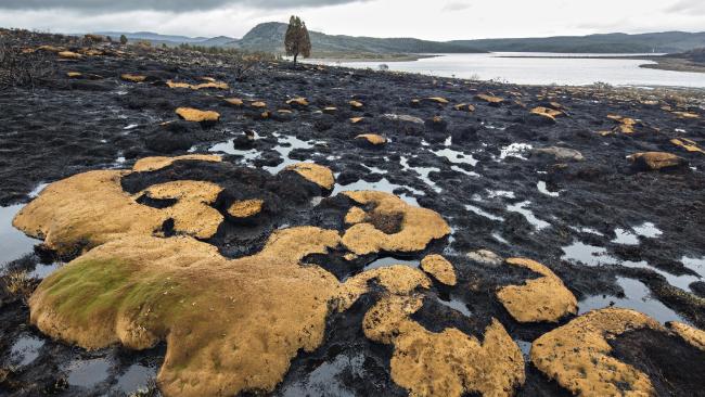 central plateau Rob B Jan 2016