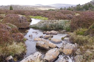Near Blue Peaks, Central Plateau