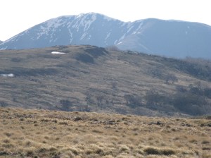 Feathertop from the Bogong High Plains.