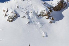 follow-big-2-705x470