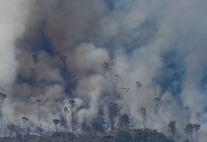 93116121_10218963957542775_8628959394995896320_o