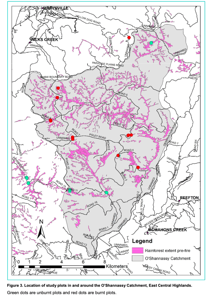 Screen Shot 2020-05-10 at 11.20.32 am