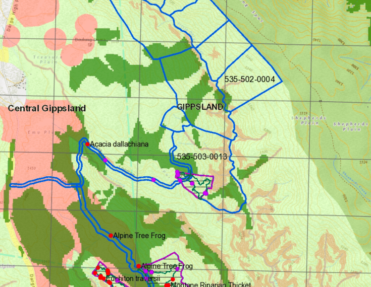 Screen Shot 2021-02-03 at 10.40.57 am