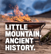 Screen Shot 2021-02-19 at 2.46.47 pm