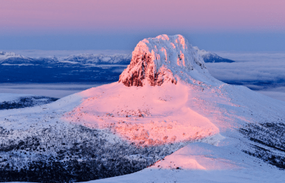 Screen Shot 2021-02-19 at 8.50.58 am