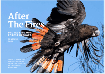 Screen Shot 2021-02-24 at 7.32.56 am