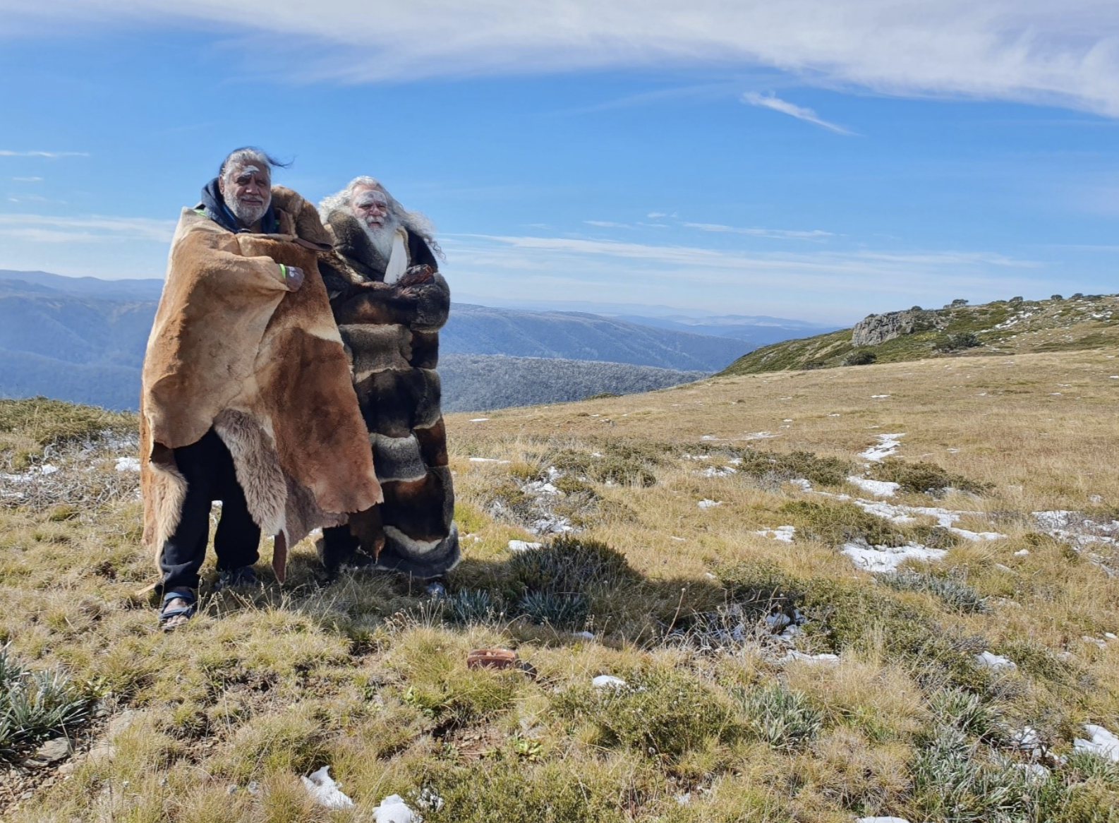 Screen Shot 2021-06-29 at 11.49.33 am