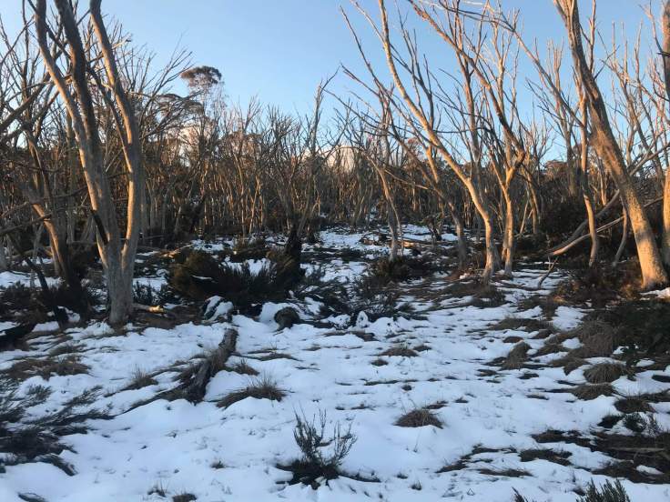 received_1703762679827728