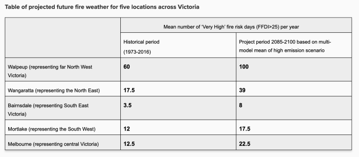 Screen Shot 2021-08-17 at 1.20.46 pm