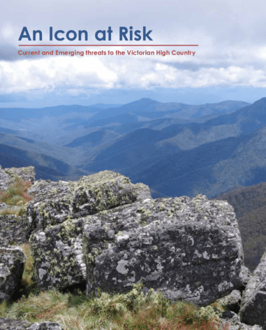 Screen Shot 2021-11-05 at 8.49.19 am