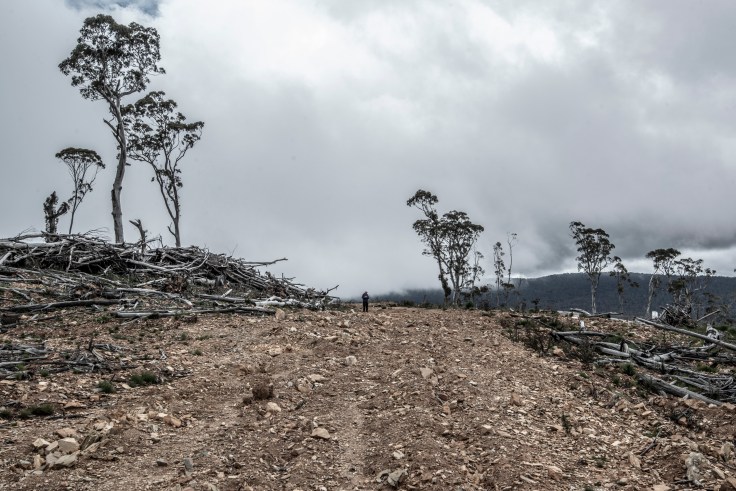 12 Mile Hill coupes-11-21-Photo Lisa Roberts_DSC_6124